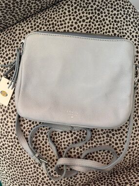 Fossil Sydney Crossbody in Smokey Blue with Tassel Zip